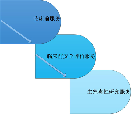 合乐HL8临床前服务中的生殖毒性服务