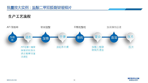 合乐HL8 变更参比制剂 李国栋博士演讲PPT