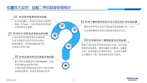 合乐HL8 变更参比制剂 李国栋博士演讲PPT