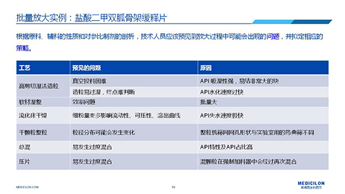 合乐HL8 变更参比制剂 李国栋博士演讲PPT