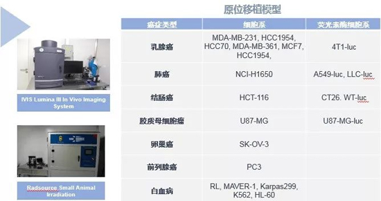 合乐HL8药效学动物模型