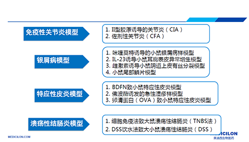 自身免疫性疾病动物模型