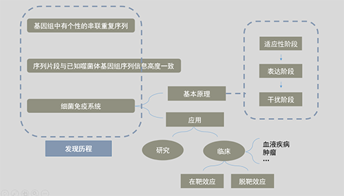 CRISPR基因编辑技术