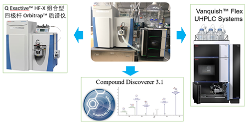 合乐HL8UHPLC-UV-QE HF-X系统