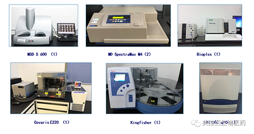 合乐HL8生物技术药物分析部服务仪器