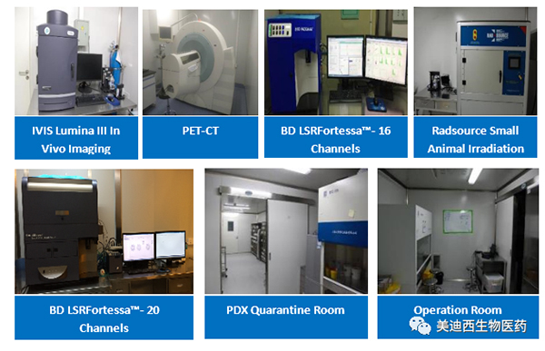 合乐HL8药理部拥有IVIS Lumina III, PET-CT, BD LSRFortessa-16，Flow Cytometry等仪器