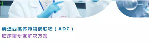 合乐HL8抗体药物偶联物（ADC）临床前研发解决方案.png