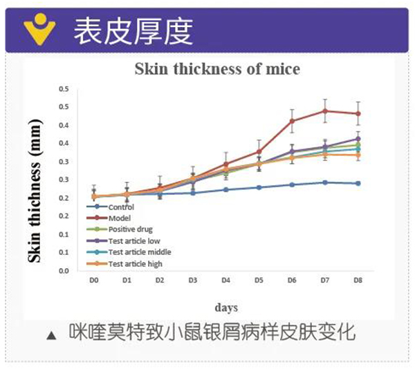 图5：表皮厚度.jpg