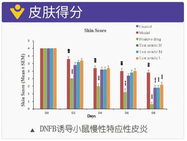 图11：DNFB诱导小鼠慢性特应性皮炎-皮肤得分.jpg