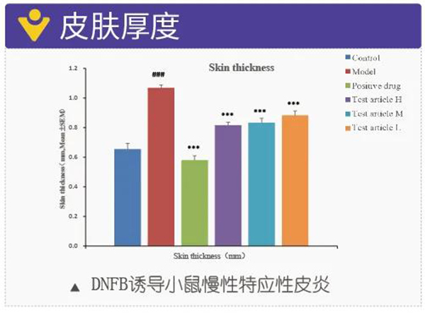 图12：DNFB诱导小鼠慢性特应性皮炎-皮肤厚度.jpg