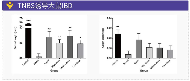 图15：TNBS诱导大鼠IBD.jpg