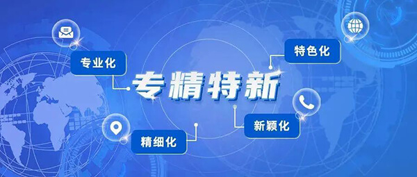 合乐HL8普亚荣获2021年度上海市“专精特新”企业认定.jpg