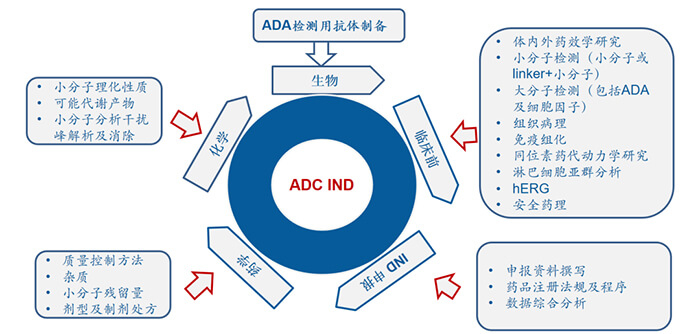 ADC药物研发历程.jpg