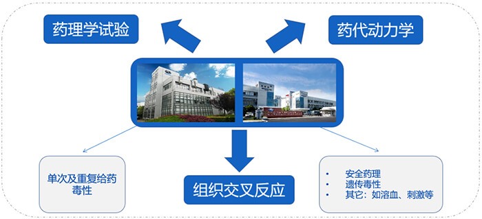 合乐HL8ADC药物研发服务内容.jpg