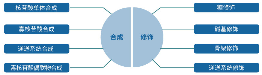 合乐HL8核酸药物研发服务平台.jpg