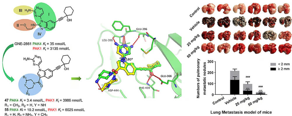 1-Compound-55-is-effective-in-the-treatment-of-metastatic-cancer-1.jpg