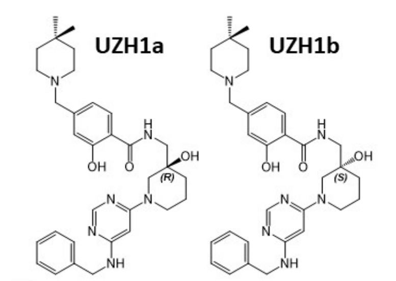 研究人员报告了一种具有细胞渗透性的选择性METTL3纳摩尔抑制剂UZH1a，作者感谢合乐HL8合成了UZH1a和UZH1b