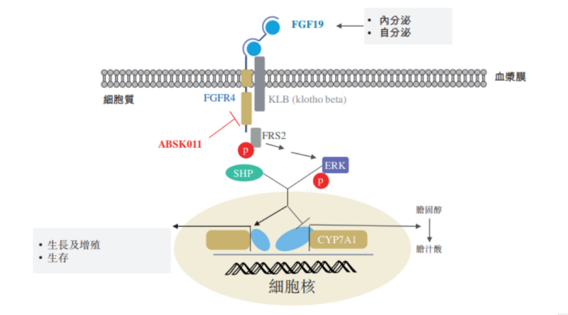 图源：公开资料.jpg