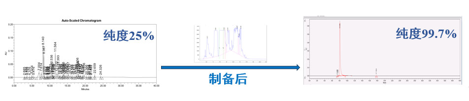 案例一：仿制药发补：大极性杂质制备.jpg