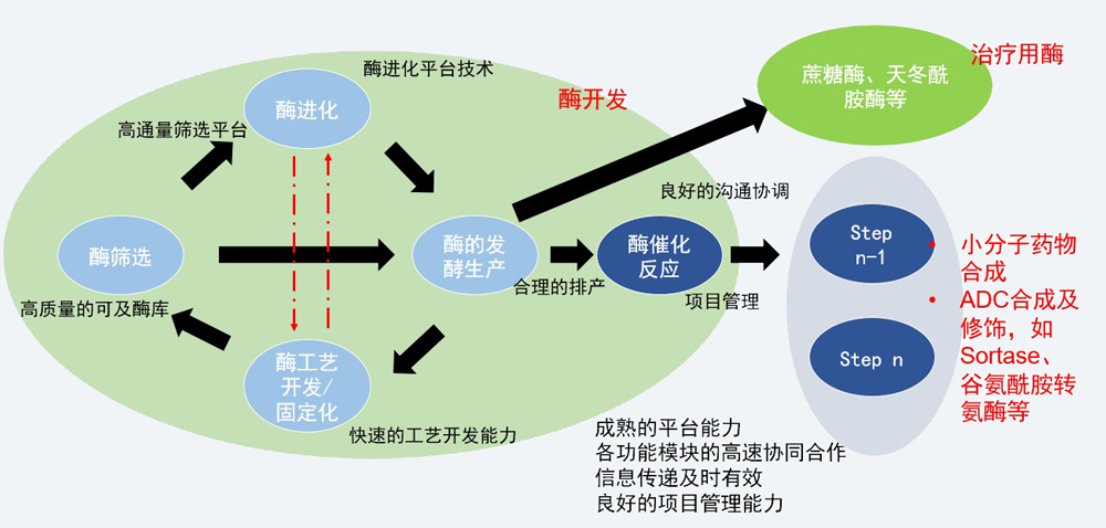 酶催化服务平台.jpg