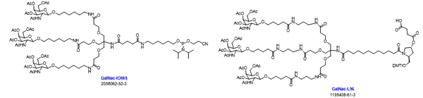 N-乙酰半乳糖胺(GalNAc)-合成-1.jpg