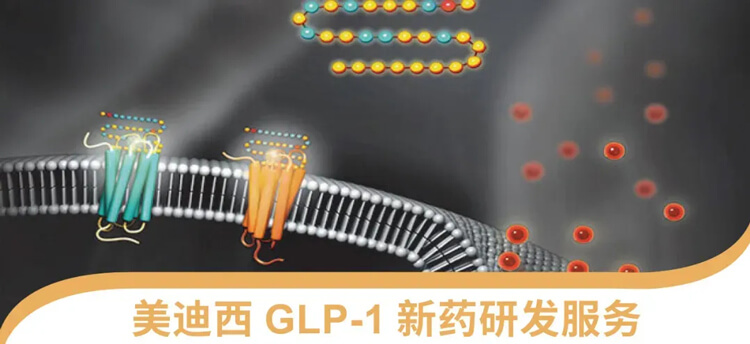 合乐HL8GLP-1新药研发服务平台.jpg